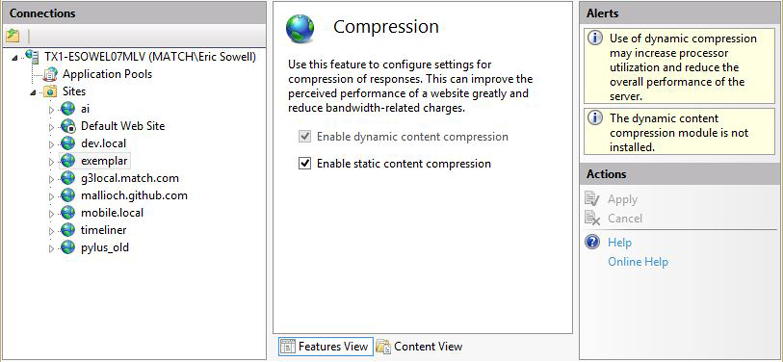 Enabling GZip Compression in IIS
